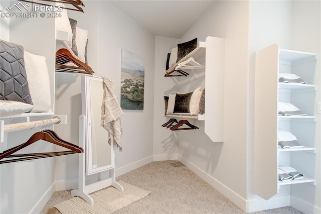 spacious closet featuring light carpet