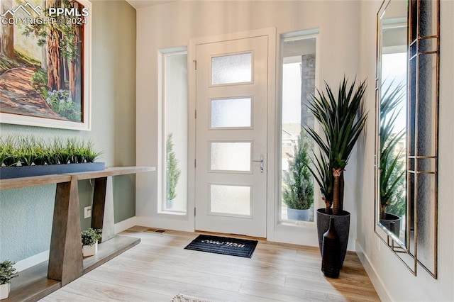 foyer with a healthy amount of sunlight and light wood-type flooring