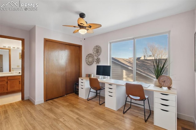 office space with ceiling fan and light hardwood / wood-style flooring