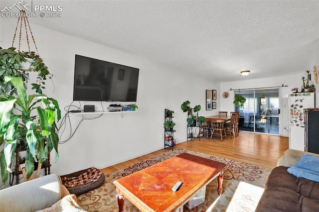 living room featuring hardwood / wood-style floors and a textured ceiling