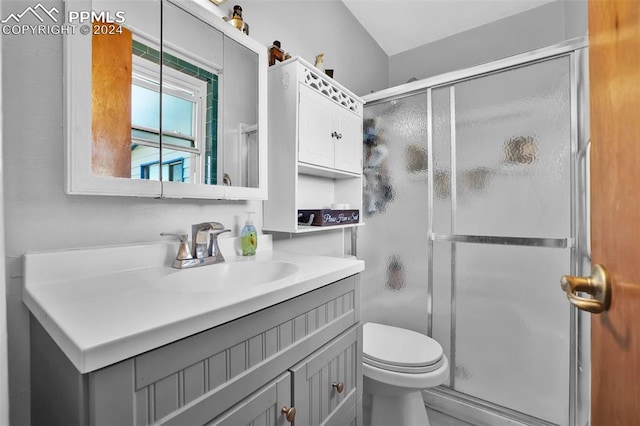 bathroom featuring vanity, toilet, and a shower with shower door