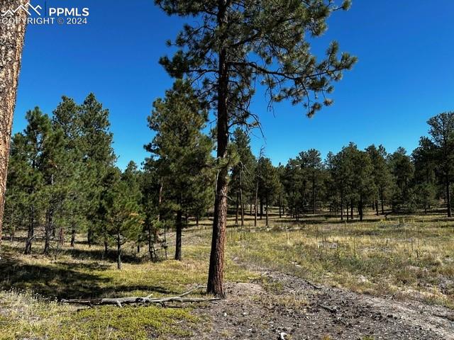 14681 Quartz Creek Dr, Colorado Springs CO, 80908 land for sale