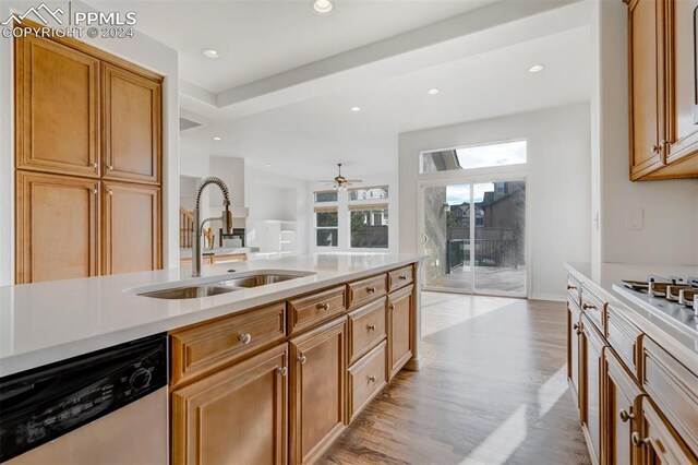 kitchen with ceiling fan, light hardwood / wood-style floors, sink, and stainless steel appliances