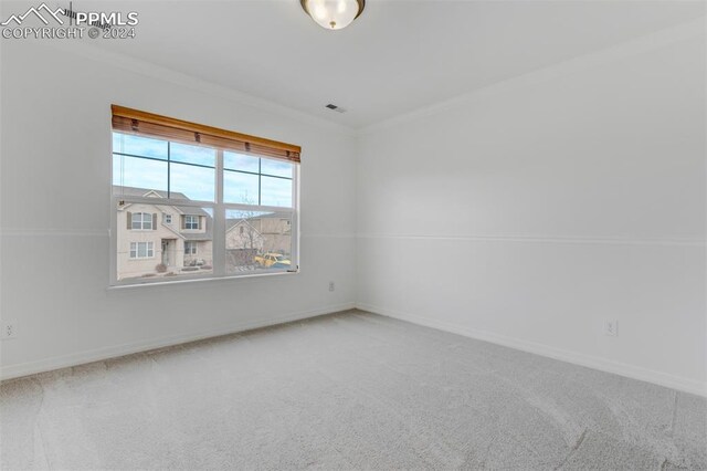 carpeted spare room featuring ornamental molding