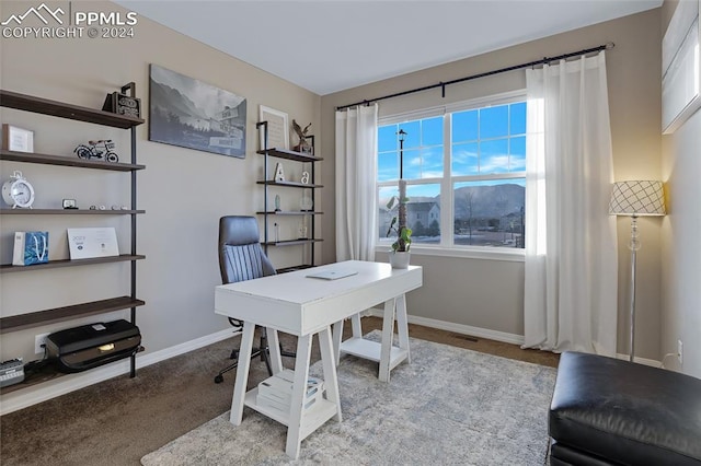 office space with light carpet and a mountain view