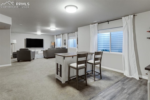 dining space with hardwood / wood-style flooring and a healthy amount of sunlight