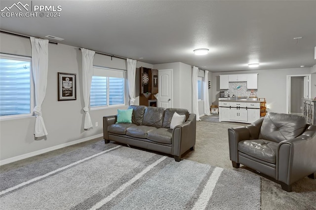 living room featuring light colored carpet