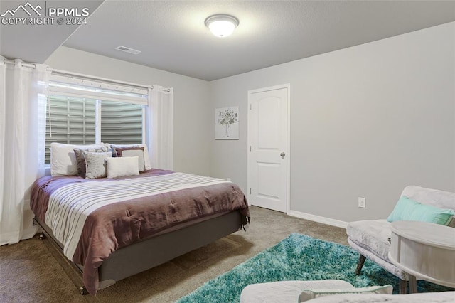 carpeted bedroom with multiple windows