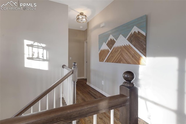 stairs featuring hardwood / wood-style floors