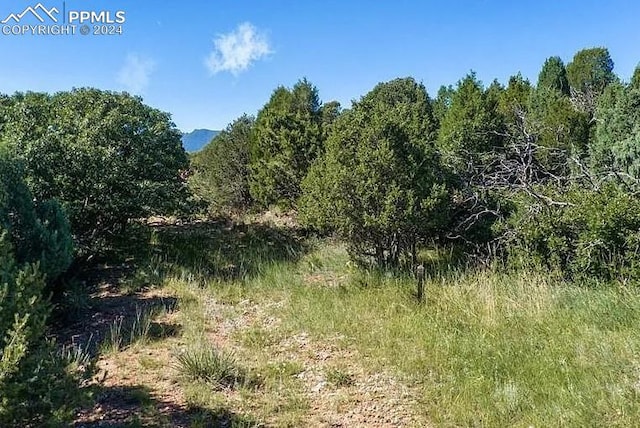 4215 Cedar Heights Dr, Colorado Springs CO, 80904 land for sale