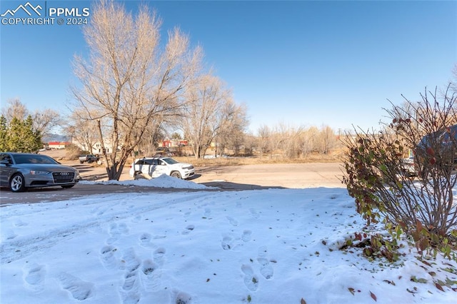 view of snowy yard