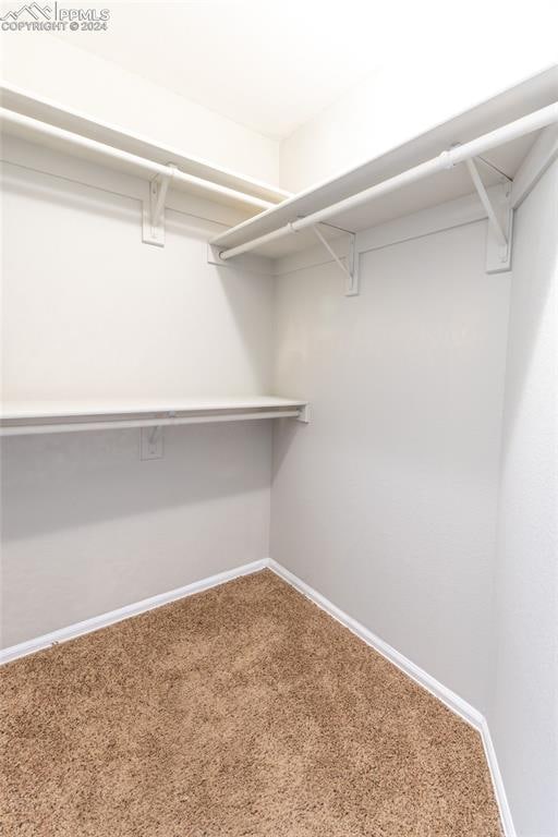 spacious closet featuring carpet flooring