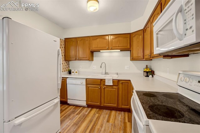 kitchen featuring light hardwood / wood-style flooring, white appliances, and sink