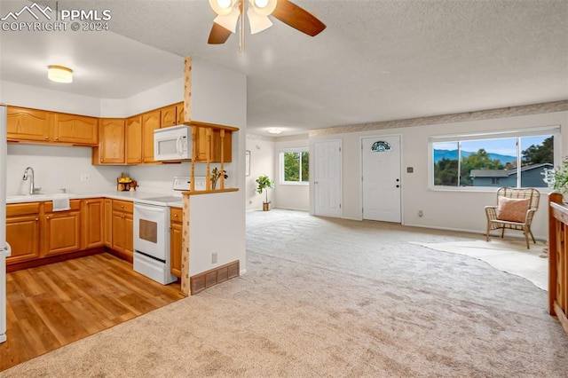 kitchen with white appliances, light hardwood / wood-style floors, a wealth of natural light, and sink