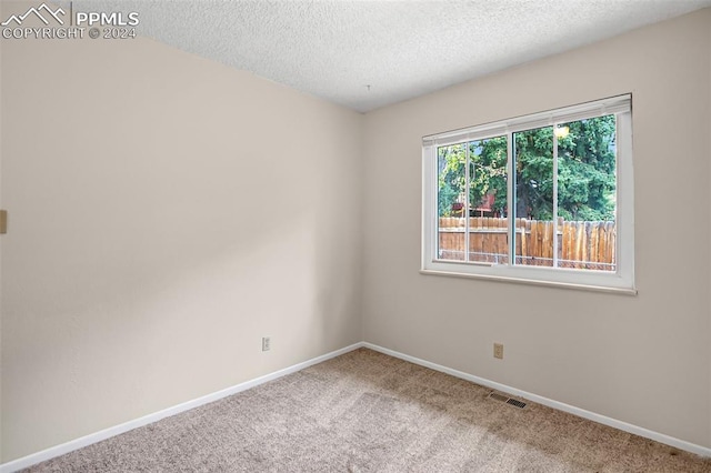 spare room featuring carpet flooring and a textured ceiling