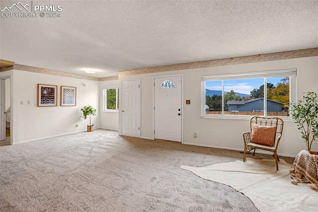 entryway with a wealth of natural light, carpet floors, and a textured ceiling