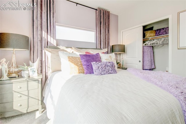 carpeted bedroom featuring a closet