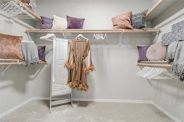 spacious closet with light colored carpet