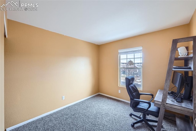 office space with carpet flooring