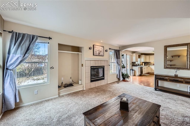 living room with a fireplace, plenty of natural light, and light colored carpet