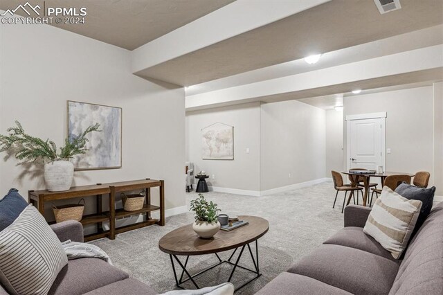 7680 Almond Wood Loop, Colorado Springs, CO 80908 - living room with carpet floors and baseboards