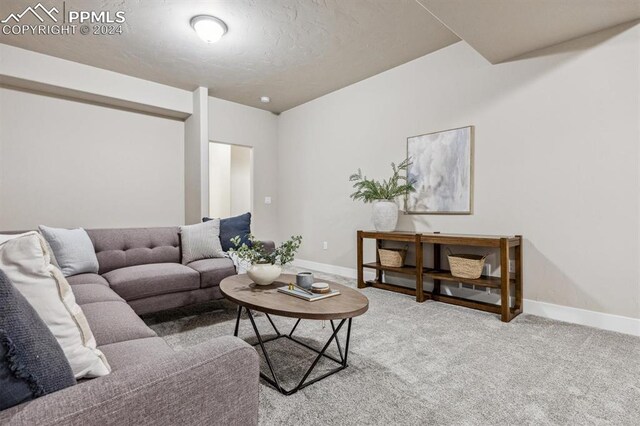 7680 Almond Wood Loop, Colorado Springs, CO 80908 - living room with carpet floors and baseboards