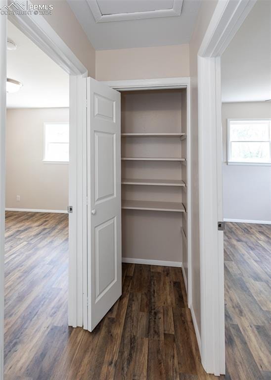 view of closet