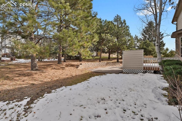 view of snowy yard