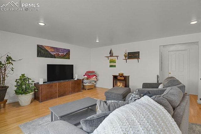 living room with hardwood / wood-style floors