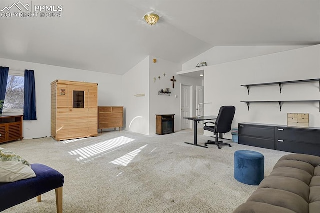 interior space with lofted ceiling