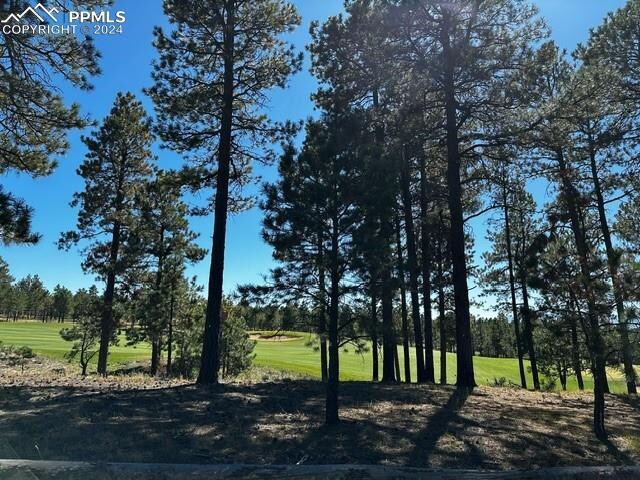 14671 Allen Ranch Rd, Colorado Springs CO, 80908 land for sale