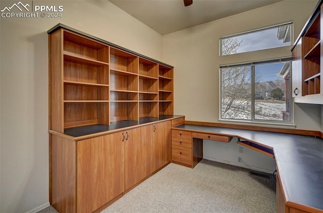 unfurnished office featuring light carpet and built in desk