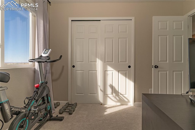 exercise room with carpet