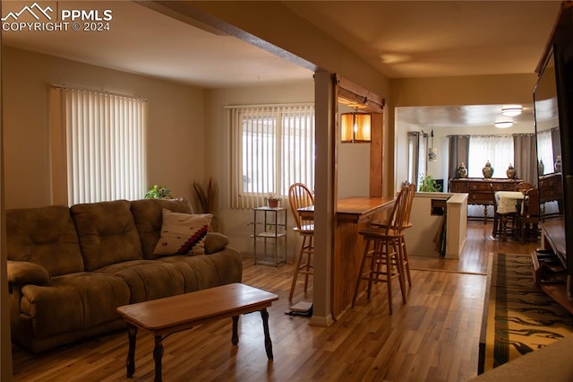 living room with a healthy amount of sunlight and wood-type flooring