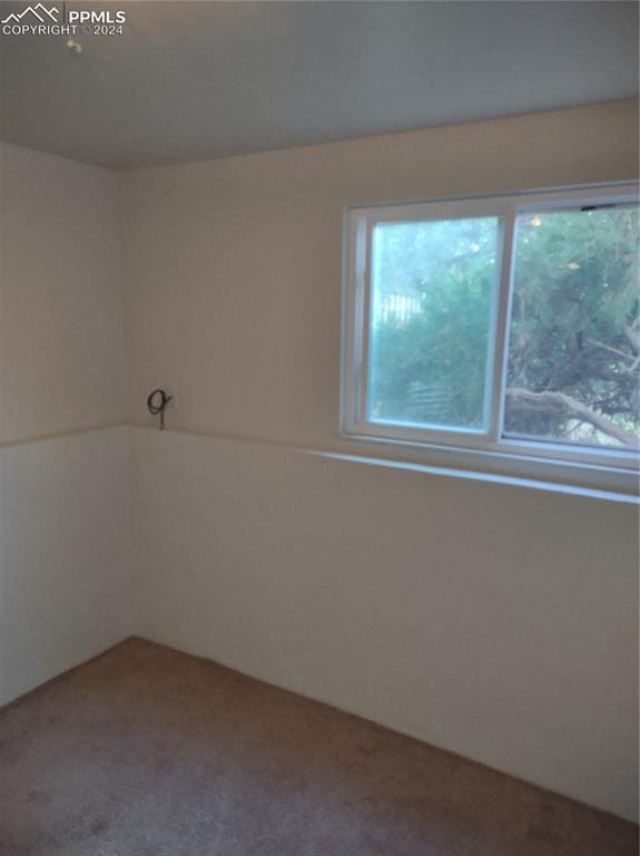 spare room featuring carpet flooring