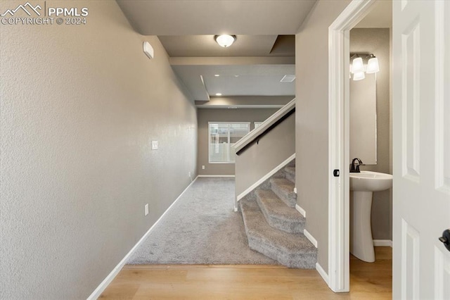 stairway featuring wood-type flooring