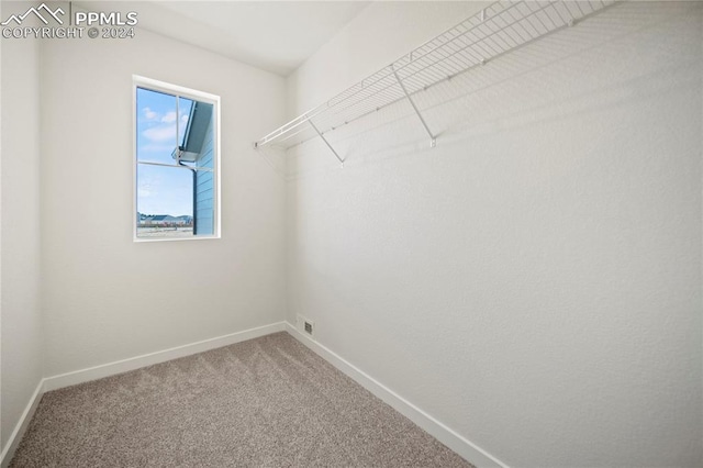 walk in closet with carpet floors