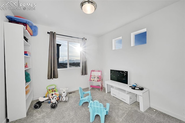 playroom with light carpet and a wealth of natural light