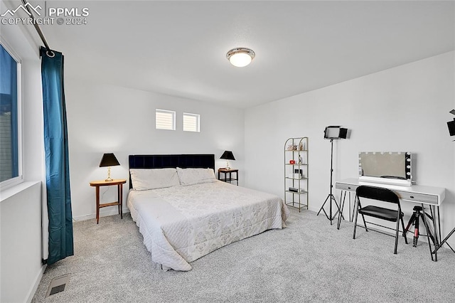 bedroom featuring carpet