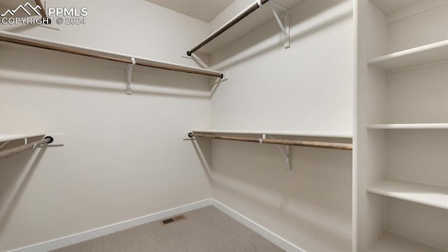 spacious closet with carpet flooring