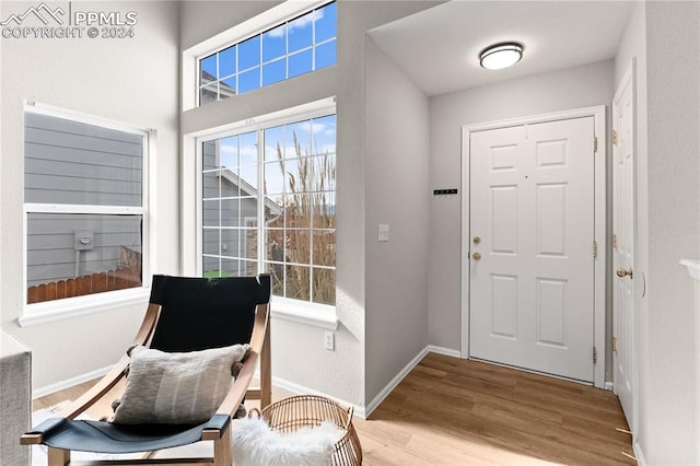 entryway featuring light hardwood / wood-style floors