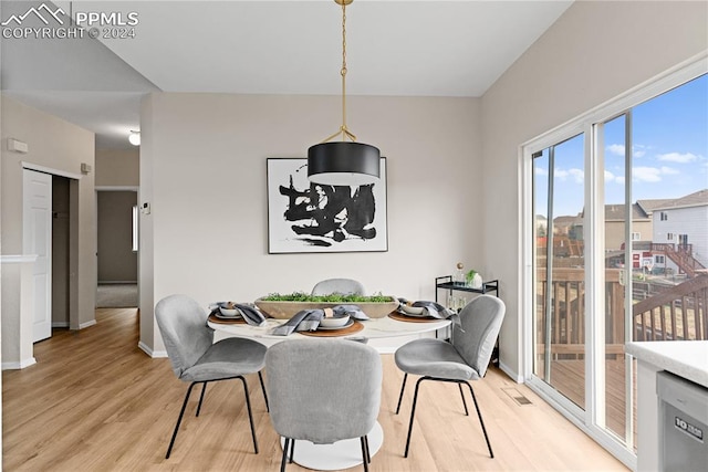 dining room with light hardwood / wood-style floors