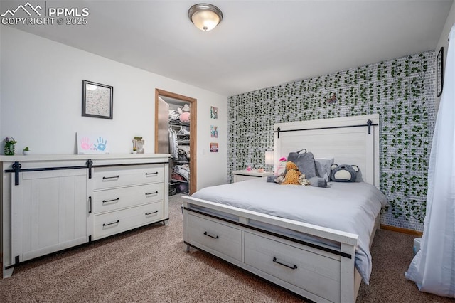 bedroom with a spacious closet and a closet