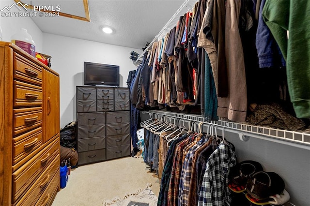 walk in closet with carpet