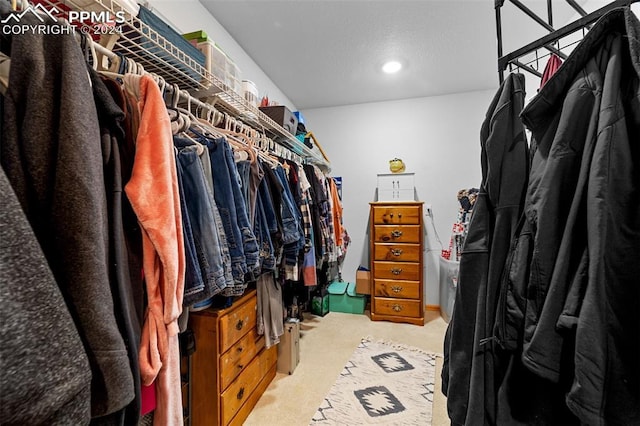 walk in closet with light carpet