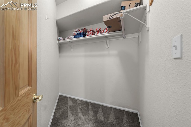 spacious closet featuring carpet flooring