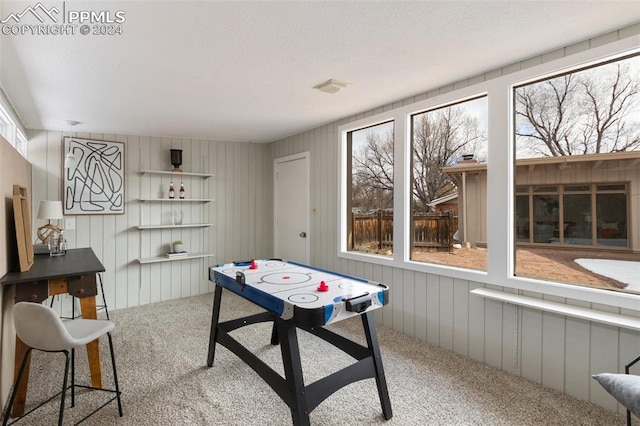 recreation room featuring carpet flooring, a wealth of natural light, and wooden walls