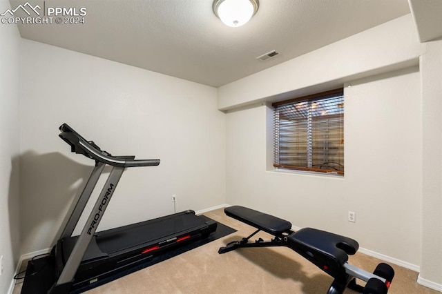 workout room with carpet