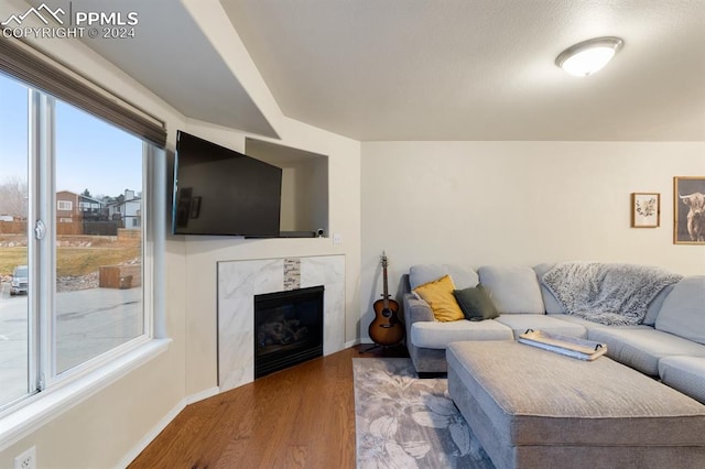 living room featuring hardwood / wood-style floors and a fireplace