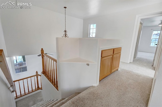 stairway with plenty of natural light and carpet floors